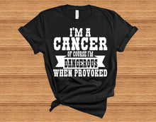 Load image into Gallery viewer, Of Course I'm Dangerous When Provoked