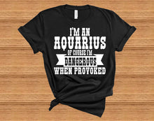 Load image into Gallery viewer, Of Course I'm Dangerous When Provoked